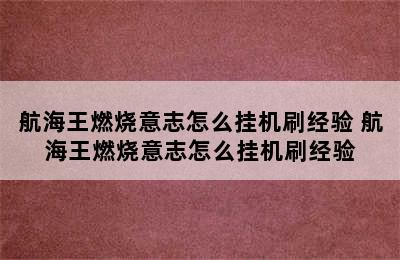 航海王燃烧意志怎么挂机刷经验 航海王燃烧意志怎么挂机刷经验